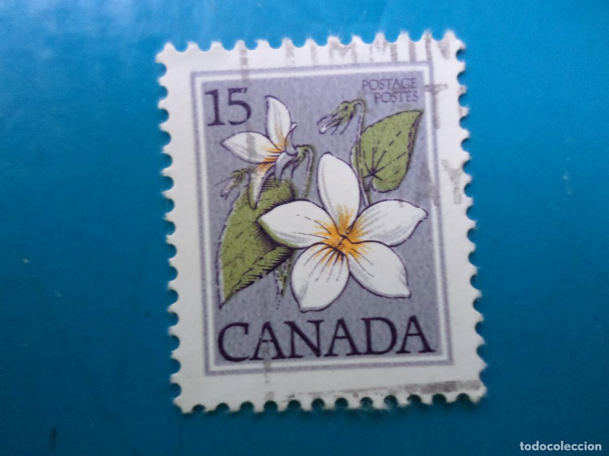 Sellos: canada, 1979, violeta del canada, Yvert 712 - Foto 1