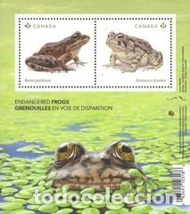 Sellos: HB NUEVA DE CANADA 2024, RANAS - Foto 1