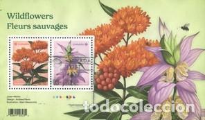 Sellos: HB NUEVA DE CANADA 2024, FLORES - Foto 1