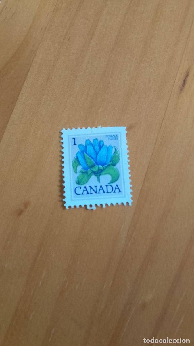 Sellos: CANAD&Aacute; - V/F 1 - FLORA, FLOR - Foto 1