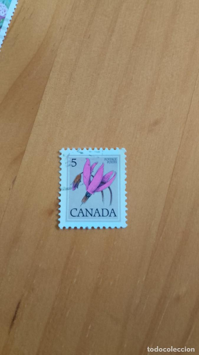 Sellos: CANAD&Aacute; - V/F 5 - FLORA, FLOR - Foto 1