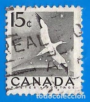 Sellos: Canada. 1954. Scott # 343. Gannet - Foto 1