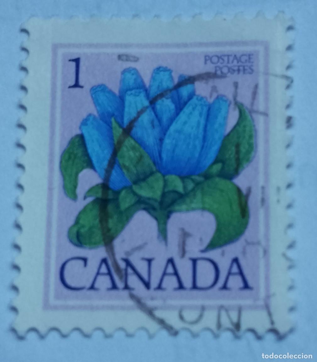 Sellos: CANADA - VALOR FACIAL 1 - FLORA - Foto 1