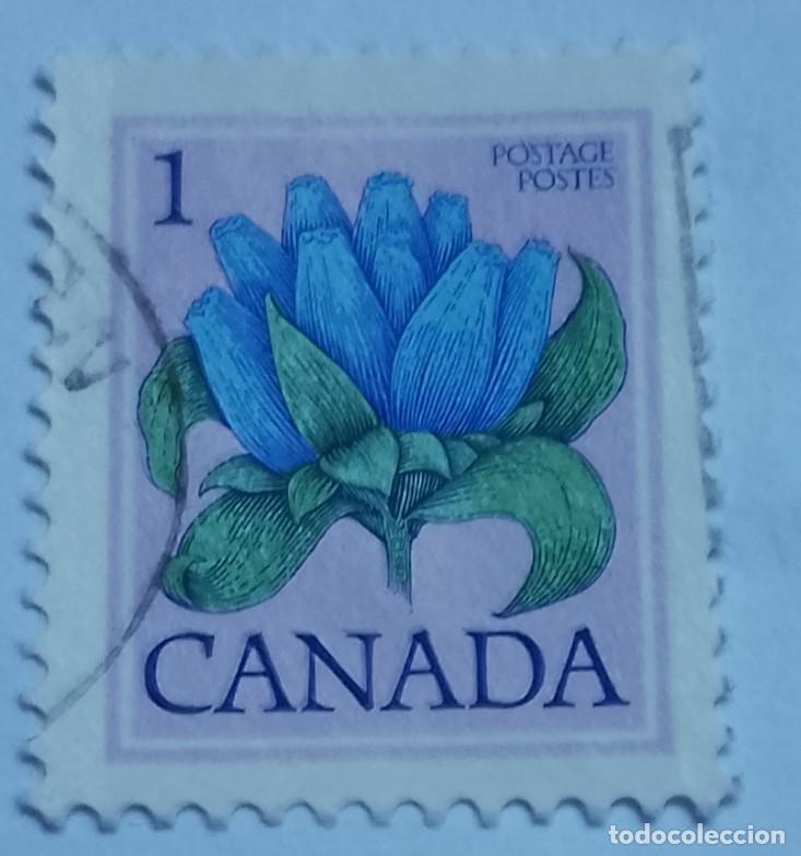 Sellos: CANADA - VALOR FACIAL 1 - FLORA - Foto 1