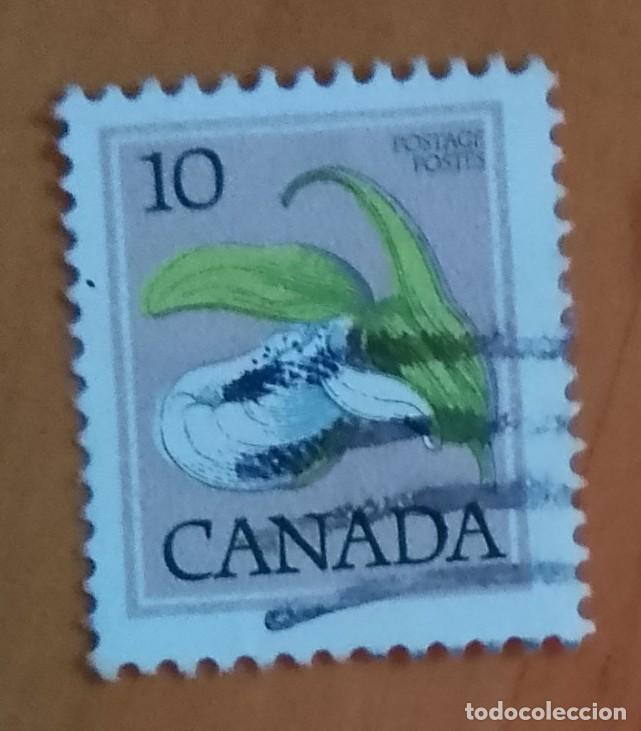 Sellos: CANADA - V/F 10 - FLORA, FLOR - Foto 1