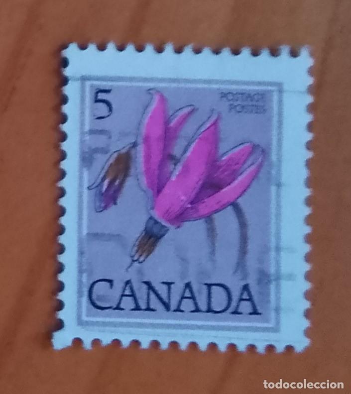 Sellos: CANADA - V/F 5 - FLORA, FLOR - Foto 1