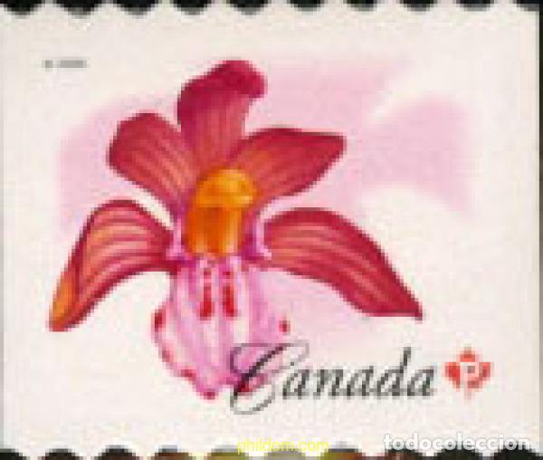 Sellos: 196052 MNH CANADA 2006 FLOR - Foto 1