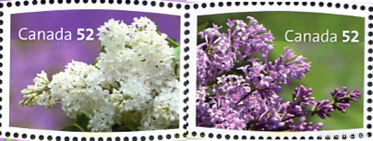 Sellos: 222726 MNH CANADA 2007 FLORES - Foto 1