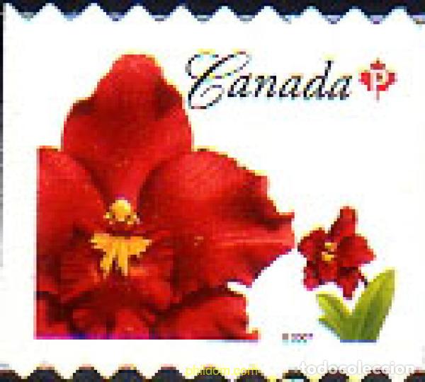 Sellos: 608132 MNH CANADA 2008 - Foto 1