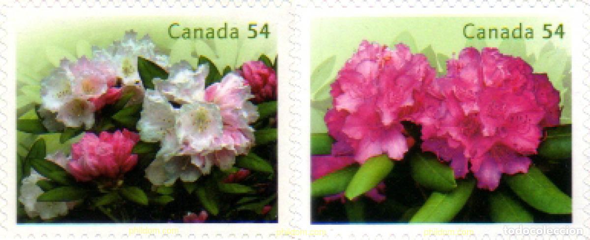 Sellos: 243801 MNH CANADA 2009 - Foto 1