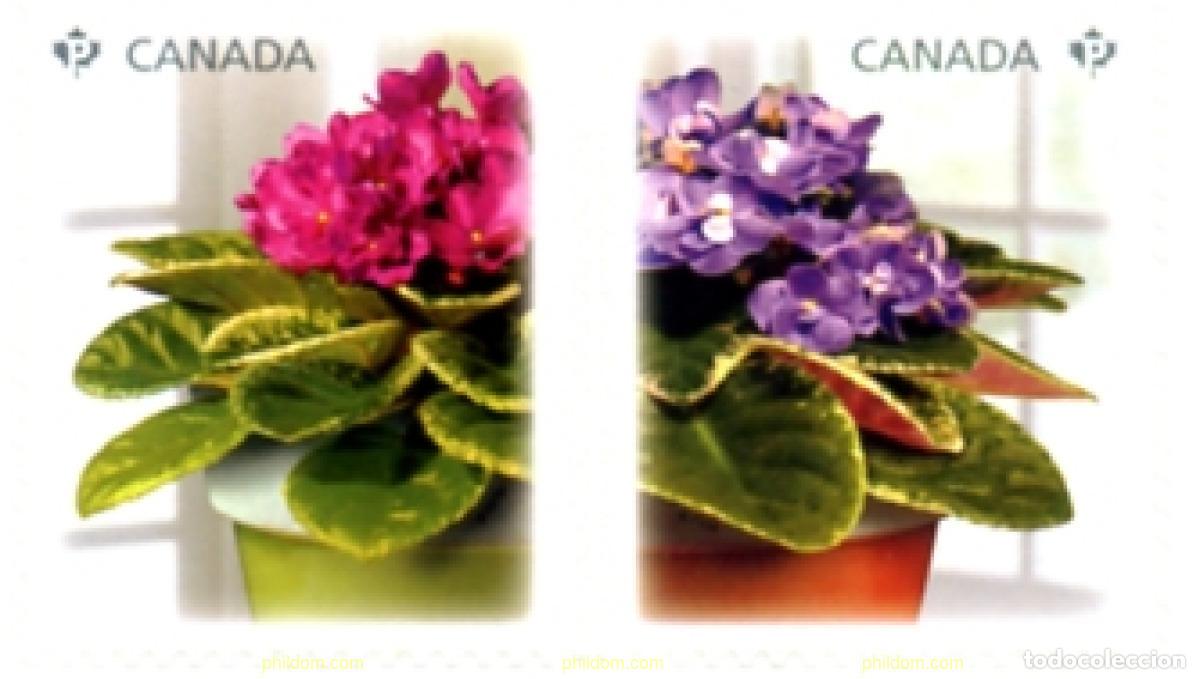 Sellos: 249823 MNH CANADA 2010 - Foto 1