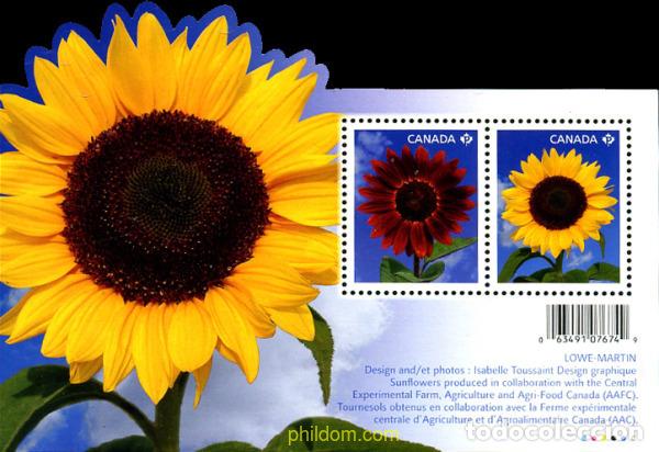 Sellos: 260097 MNH CANADA 2011 FLOR TORNASOL - Foto 1