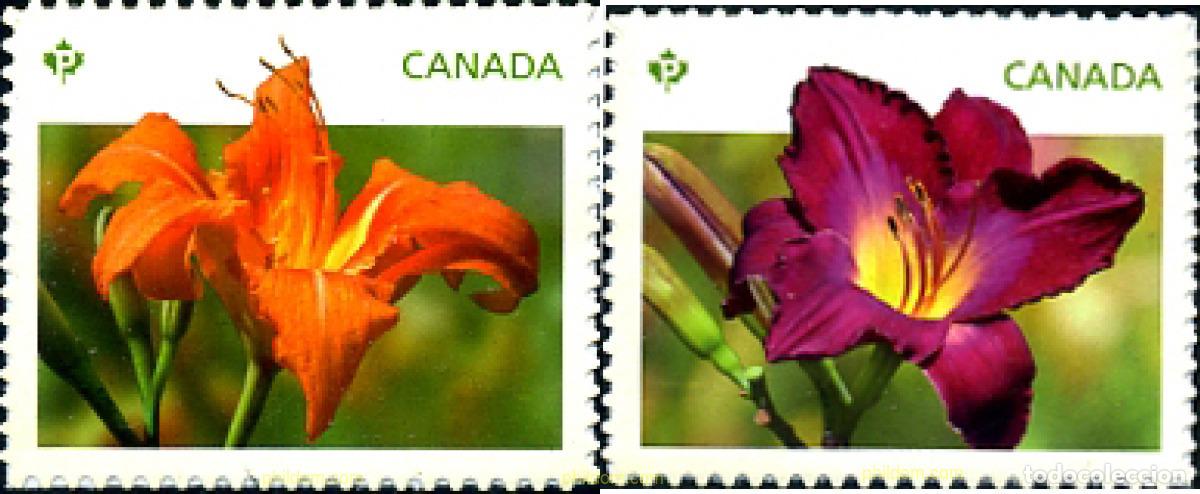 Sellos: 284488 MNH CANADA 2012 - Foto 1