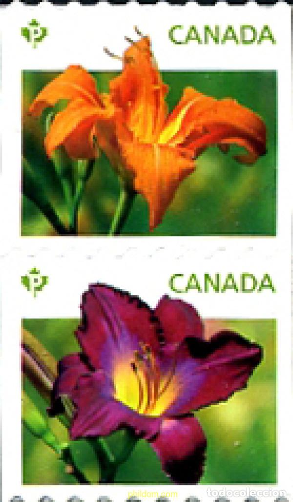 Sellos: 284491 MNH CANADA 2012 - Foto 1