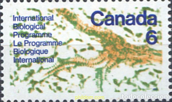 Sellos: 299453 MNH CANADA 1970 PROGRAMA BIOLOGICO INTERNACIONAL - Foto 1