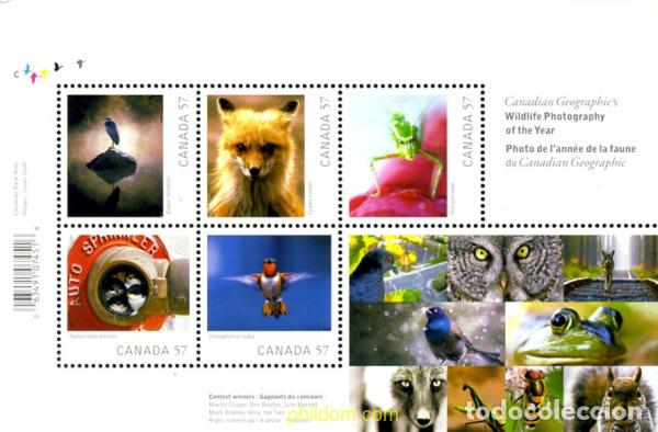 Sellos: 250588 MNH CANADA 2010 - Foto 1