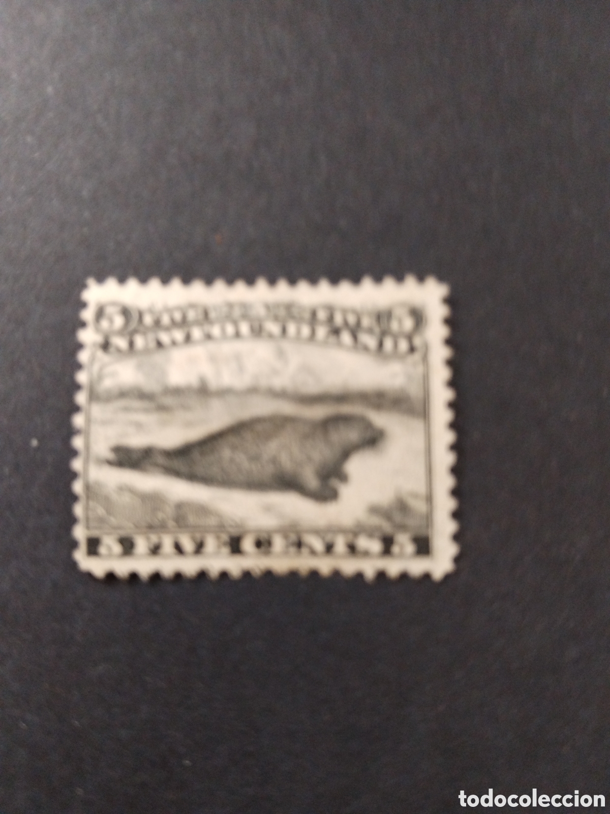 Sellos: Terranova. 1868/73. Foca. - Foto 1