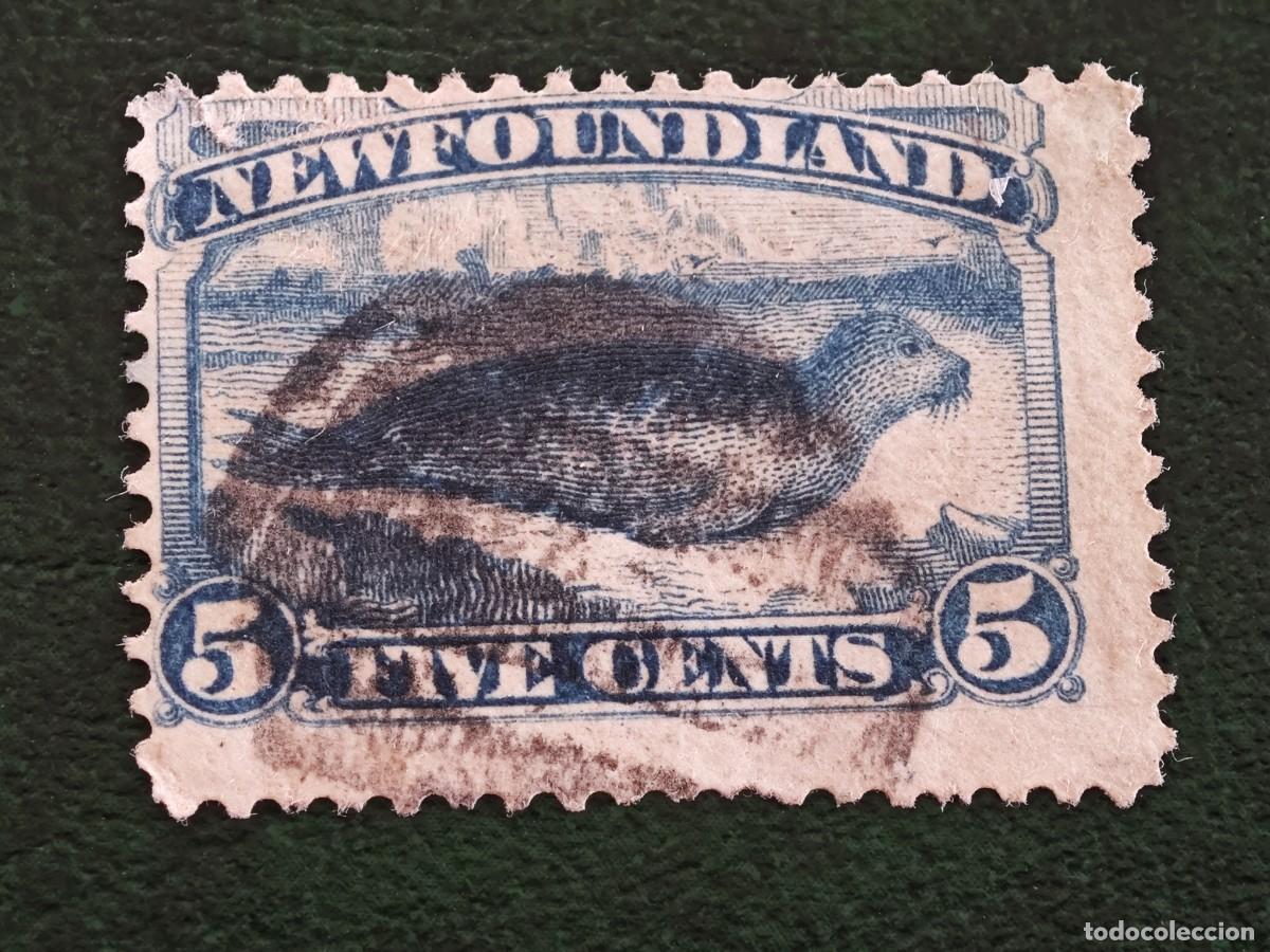 Sellos: 1880-1896 Canad&aacute; Newfoundland - Foto 1