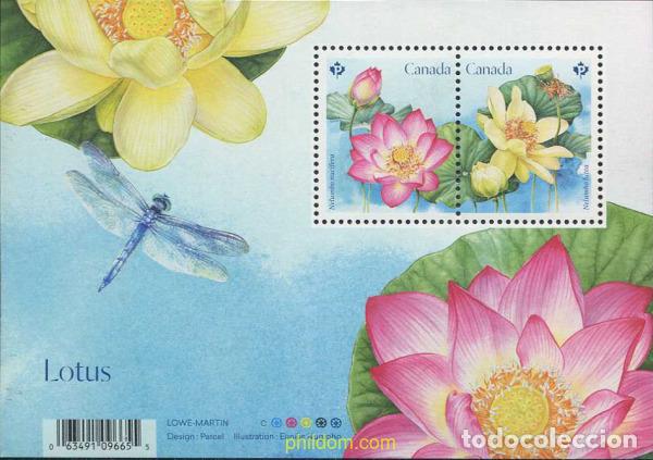 Sellos: 601196 MNH CANADA 2018 FLORES - Foto 1