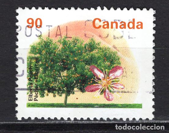 Sellos: CANADA 1995 usado FLORA Yvert 1421 - Foto 1