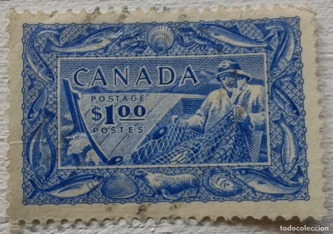 Sellos: Colleci&oacute;n de Sellos de Canad&aacute; - Foto 1