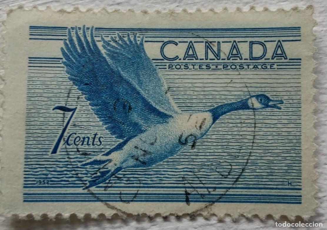 Sellos: Colleci&oacute;n de Sellos de Canad&aacute; - Foto 29
