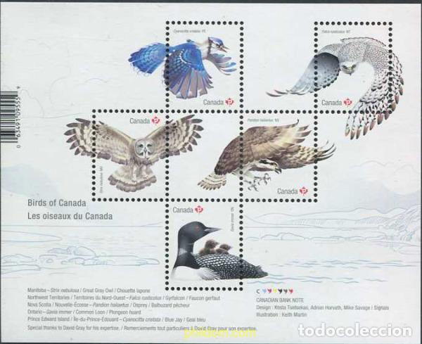 Sellos: 574364 MNH CANADA 2017 AVES DEL CANADA - Foto 1