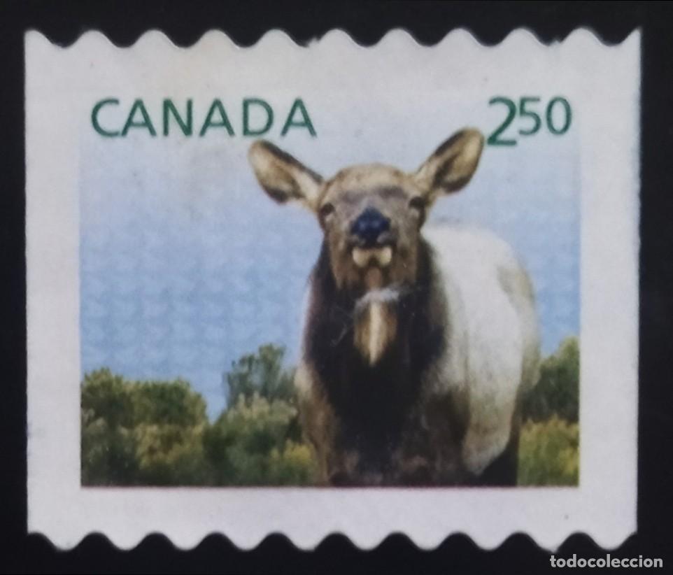 Sellos: CANADA 2014 Fauna. Crias. USADO. - Foto 1