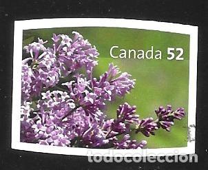Sellos: CANAD&Aacute; - SELLOS EN LIQUIDACI&Oacute;N - Foto 1