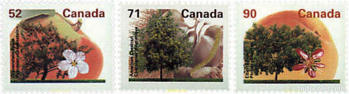 Selos: 97898 MNH CANADA 1995 ARBOLES FRUTALES DE CANADA