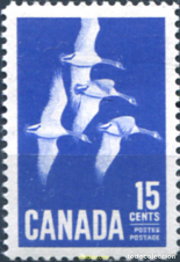 Briefmarken: 33328 MNH CANADA 1963 GANSOS CANADIENSES