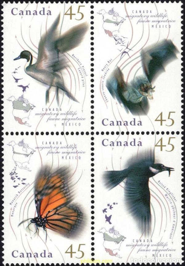 Sellos: 5392 MNH CANADA 1995 FAUNA MIGRATORIA