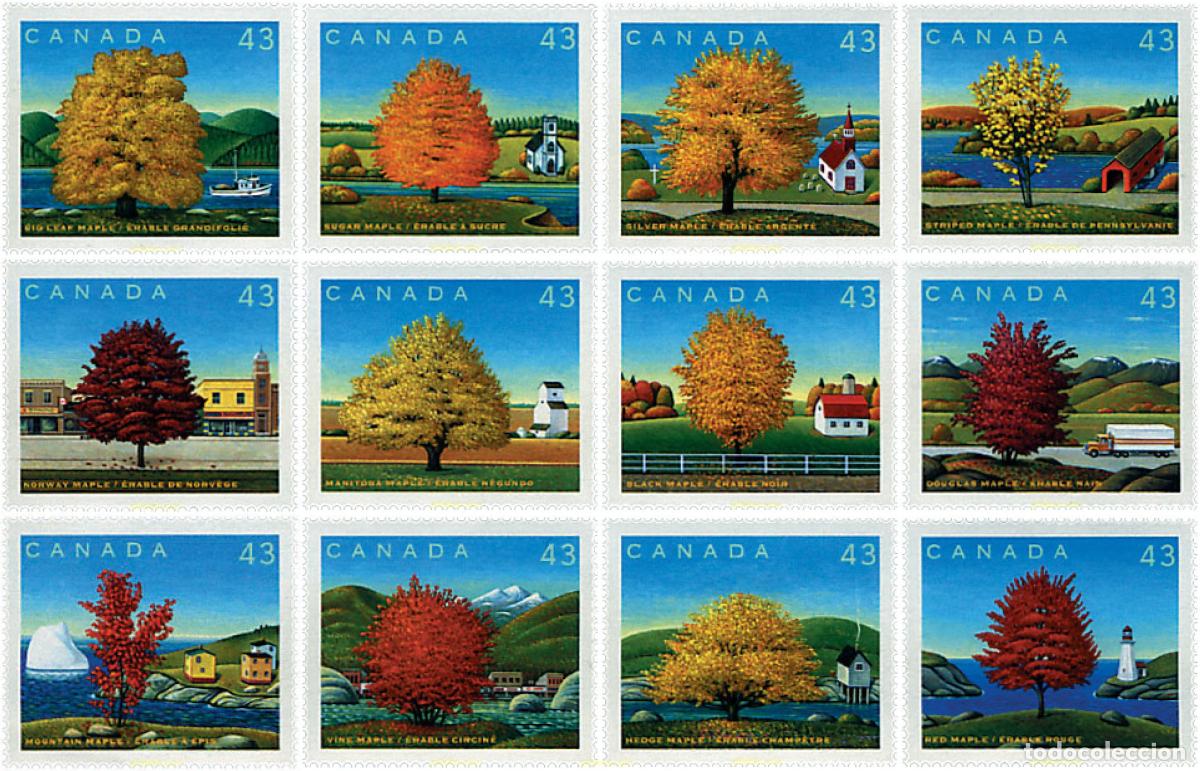 Sellos: 43804 MNH CANADA 1994 FIESTA DEL CANADA. ARBOLES
