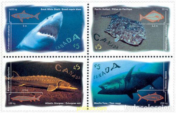 Timbres: 142615 MNH CANADA 1997 FAUNA MARINA