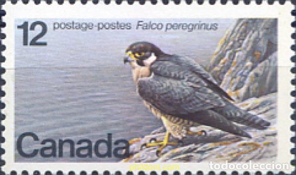 Sellos: 33329 MNH CANADA 1978 ESPECIES EN PELIGRO DE EXTINCION