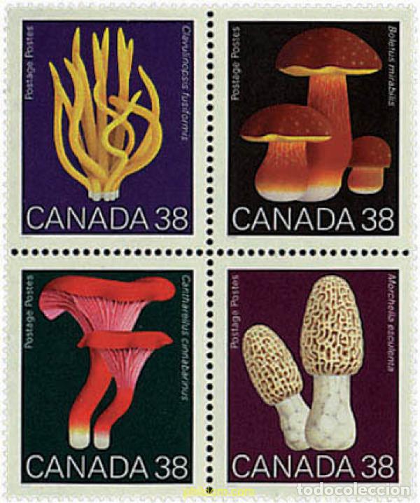 Sellos: 7016 MNH CANADA 1989 SETAS - Foto 1