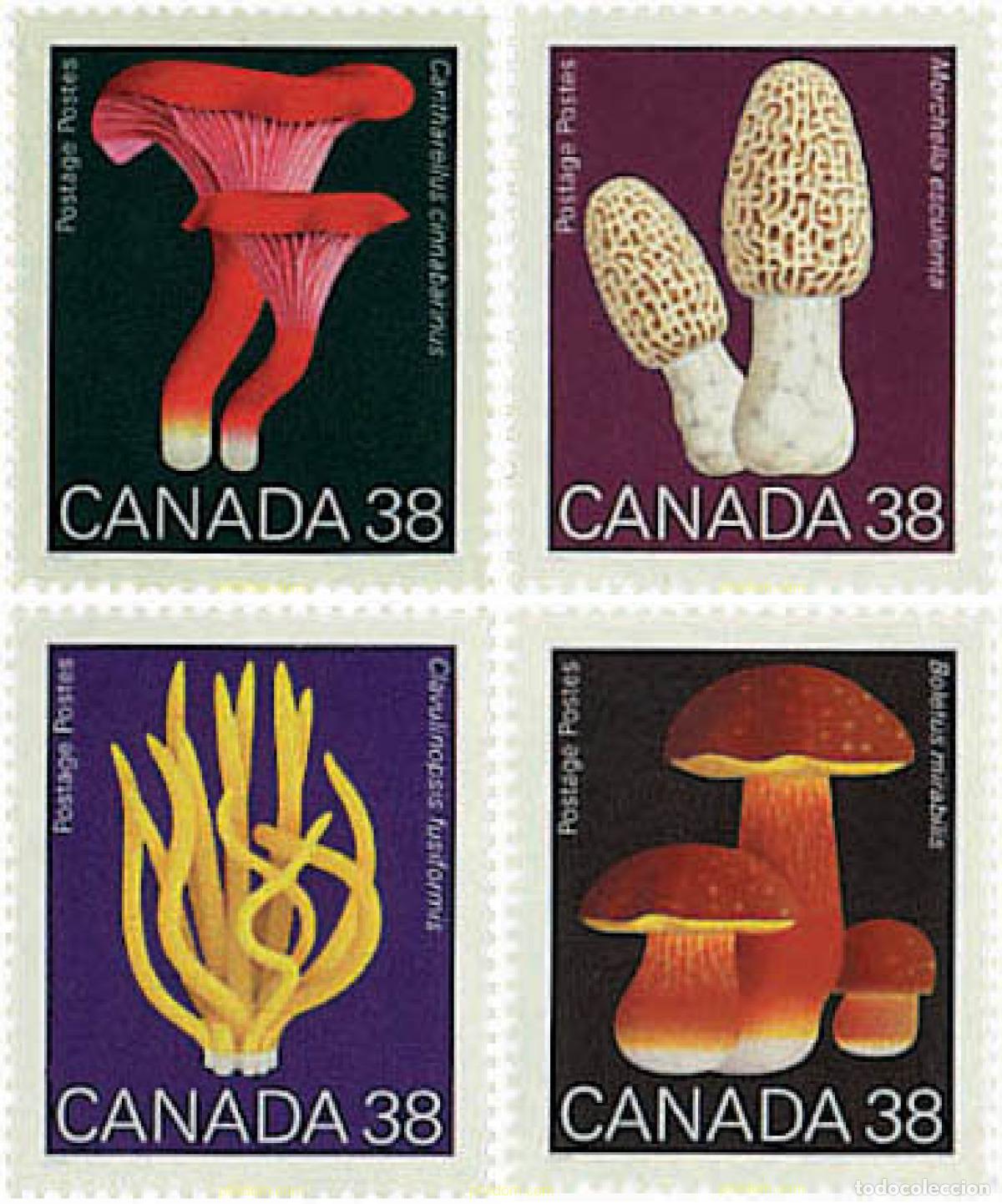 Sellos: 37482 MNH CANADA 1989 SETAS - Foto 1