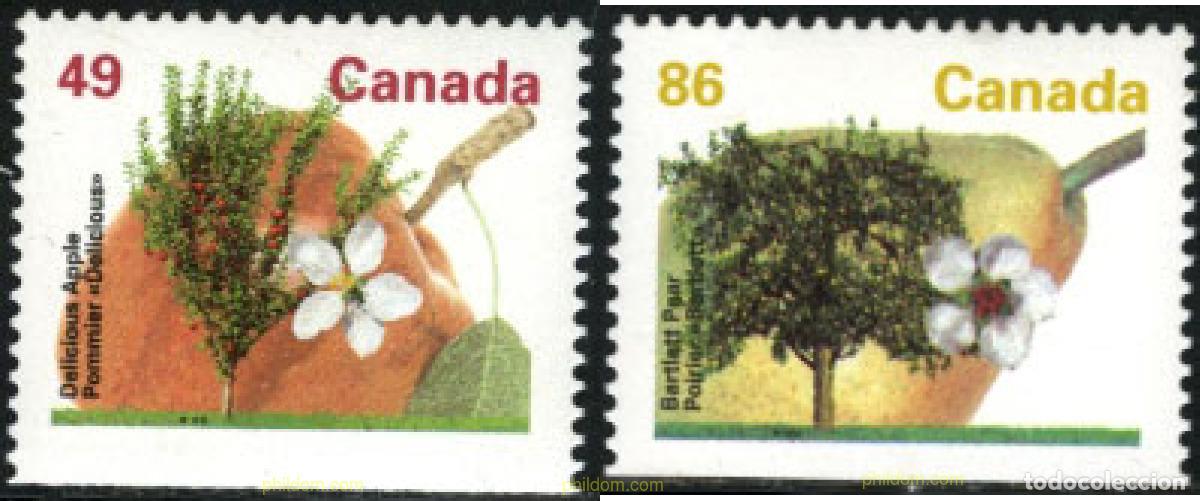 Sellos: 207047 MNH CANADA 1992 ARBOLES FRUTALES DE CANADA