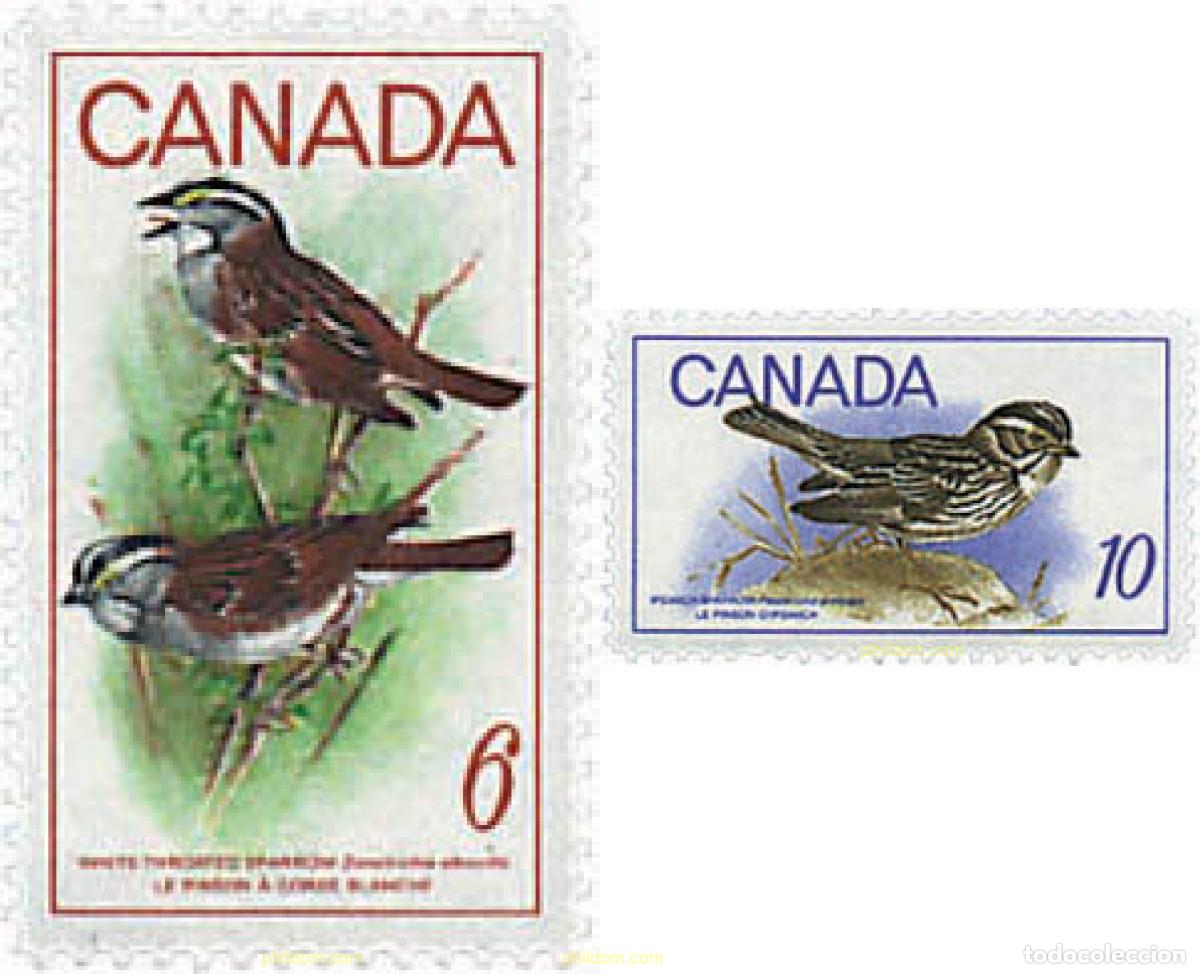 Sellos: 616096 MNH CANADA 1969 AVES - Foto 1
