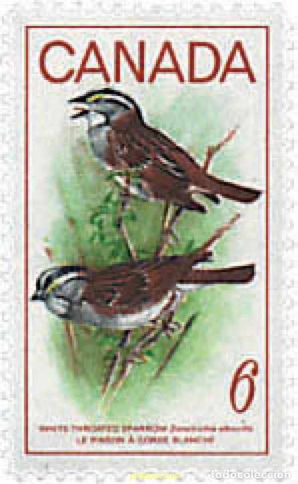 Sellos: 616097 MNH CANADA 1969 AVES - Foto 1