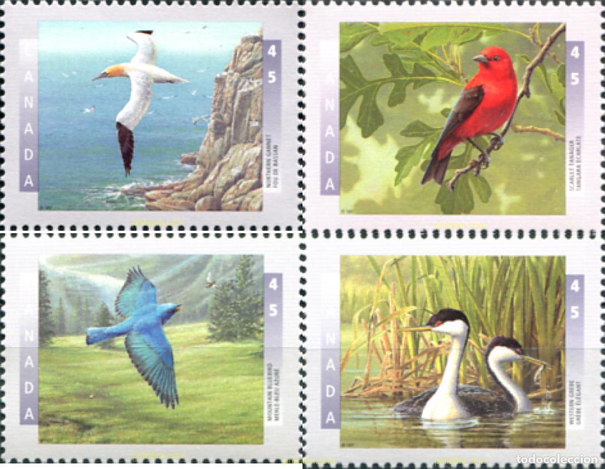 Sellos: 32922 MNH CANADA 1997 AVES - Foto 1