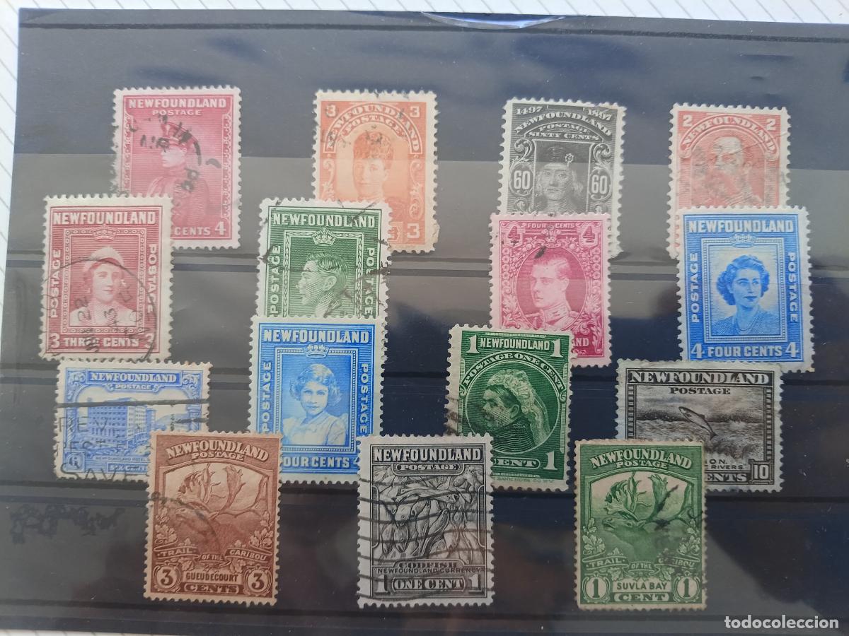 Francobolli: Terranova. Newfoundland. Canada. Lote de sellos antiguos