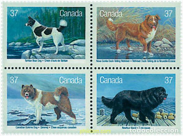 Sellos: 5923 MNH CANADA 1988 PERROS DE RAZA - Foto 1