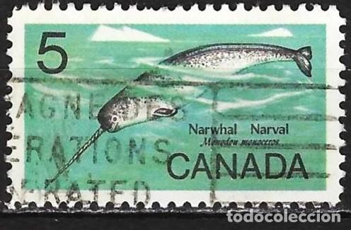 Sellos: Canad&aacute; 1968 - Mi 421 - YT 401 - Fauna marina : Narval