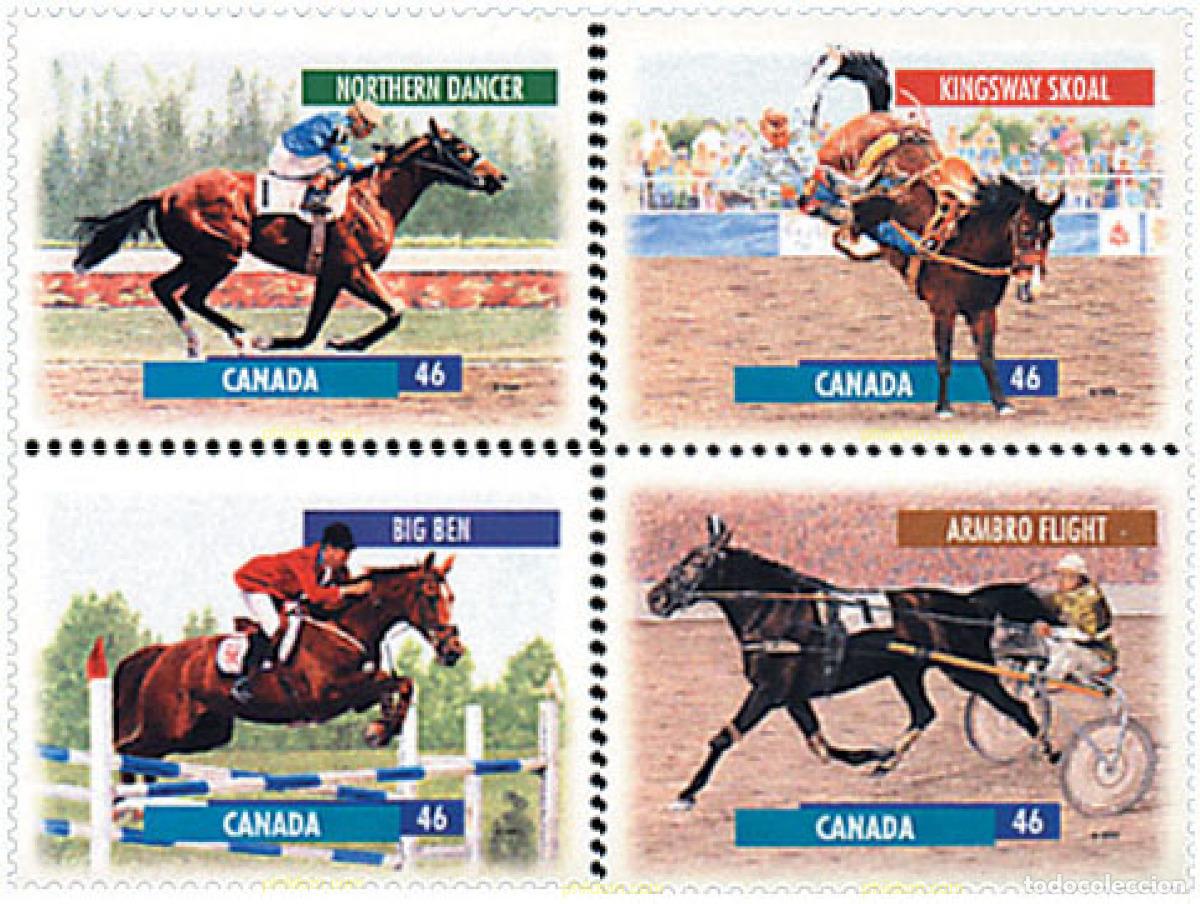Sellos: 50994 MNH CANADA 1999 DEPORTES ECUESTRES