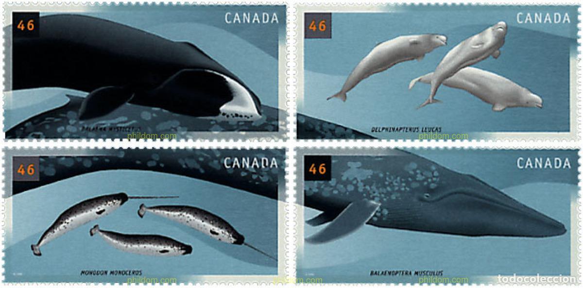 Francobolli: 52159 MNH CANADA 2000 FAUNA MARINA