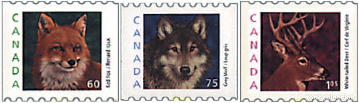 Francobolli: 64321 MNH CANADA 2000 SERIE BASICA