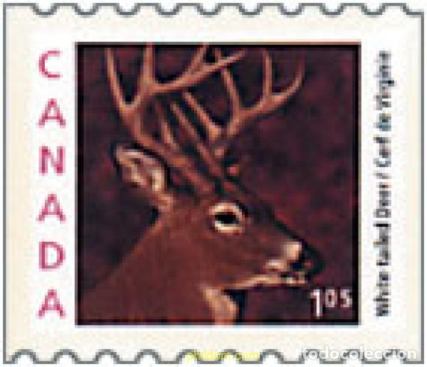 Francobolli: 325068 MNH CANADA 2000 SERIE BASICA