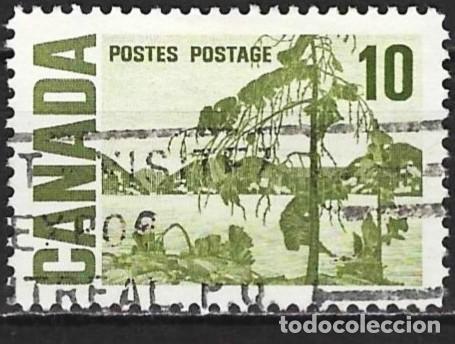 Sellos: Canad&aacute; 1967 - Mi 404 Ax - YT 384 - Cuadro de Thomas John Thomson