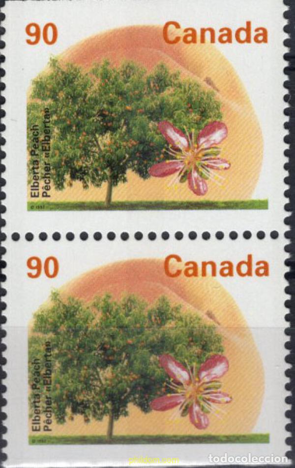 Sellos: 791373 MNH CANADA 1995 ARBOLES FRUTALES DE CANADA